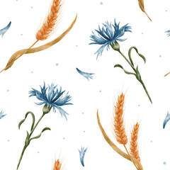Watercolor seamless pattern with cornflowers and wheat. Yellow ears of wheat and blue cornflowers on a white background.