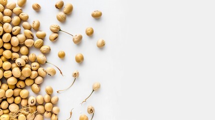 Soybean on isolated white background