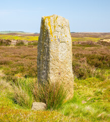 Long Stone on Easington High Moor - Ancient stone at the North York Moors UK