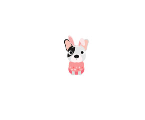 Bunny dog 3