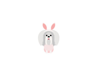 Bunny dog 7