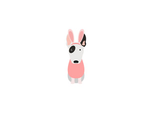 Bunny dog 9