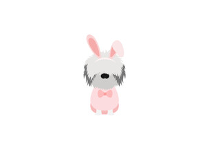 Bunny dog 5