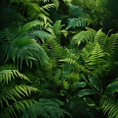 Fototapeta premium Dense jungle foliage, vibrant green ferns. 