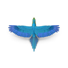 Vibrant 3D Blue and Yellow Macaw Parrot in Neutral Pose PNG - A Stunning Display of Wildlife and Nature