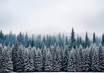 Obraz premium majestic snow covered pine trees against a soft grey sky, perfect for a tranquil winter scene, photography, nature, exterior, realism