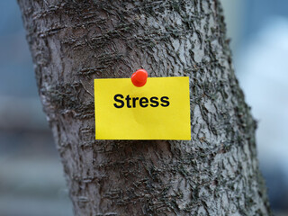 A yellow paper note with the word Stress on it pinned to a tree. Close up.