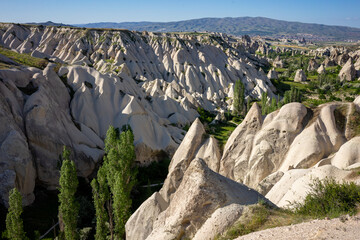 Vast Cappadocian landscape showcasing the region's iconic white rock formations amid lush greenery