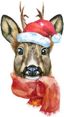 Watercolor portrait of a roe deer in Santa hat with scarf on white background - 778376158