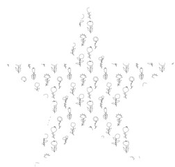 
Star with flowers background summer decoration banner.