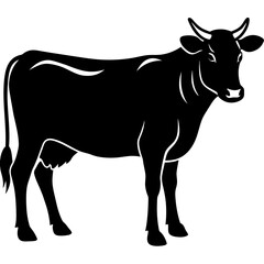     cow vector illustration
