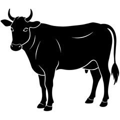     cow vector illustration
