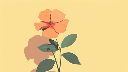 Beautiful colorful flower backgrounds are used for presentations or framed photos. Text background