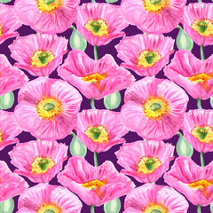 Seamless pattern of pink poppy flowers painted with watercolours on a purple background. Botanical collection of garden and wild plants. For fabric, sketchbook, wallpaper, wrapping paper.