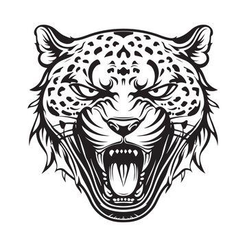 Jaguar Head Image Vector Art, Icons, and Graphics