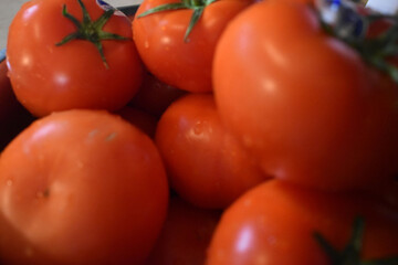 Tomates 6 Avril 2024