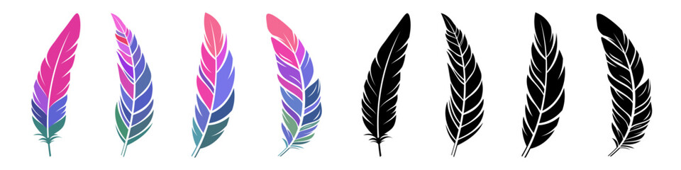 Bird feathers collection. Colorful and black vector feathers isolated on white background. Pink, violet,  purple color feathers. Vector illustration. Vector bird feathers set.