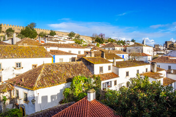 Roofs of Obidos Castle in Portugal