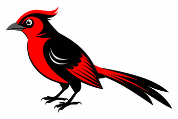 Red-headed trogon black silhouette vector design.