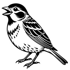 Naklejka premium songbird vector design 