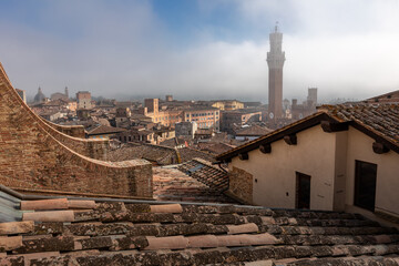 Naklejka premium Historical center with tiled roofs, Torre del Mangia medieval tower in morning haze, Siena, Italy