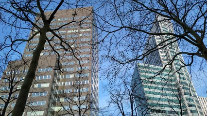 Foto op Canvas Office buildings in Rotterdam, Netherlands © JoseJ81