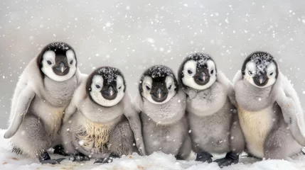 Fotobehang  A flock of penguins huddled on a snowy mountaintop beside a snow mound © Alice