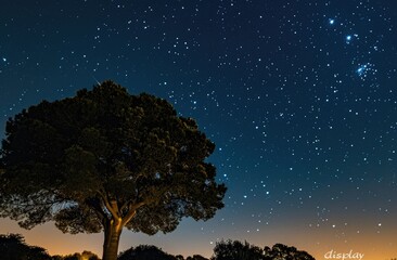 Fototapeta na wymiar Starry Night Sky Background