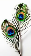 Fototapeta premium peacock feather close up. Pair of peacock feathers against white, ideal for fashion, decor, and beauty visuals, evoking elegance and natural grace