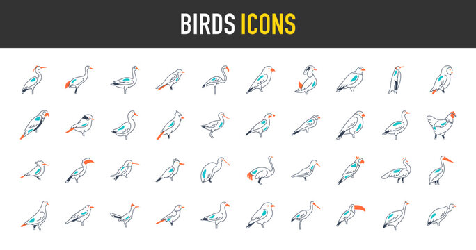 Birds icon set. Such as heron, peacock, crane, duck, flamingo, avocet, eagle, falcon, hen, humming, kingfisher, kiwi, ostrich, owl, parrot, penguin, pigeon, raven, sparrow vector icons illustration.