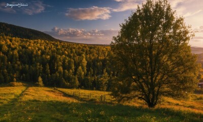 autumn landscape in the mountains