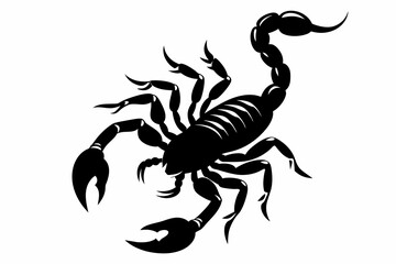 scorpion-black-silhouette-vector-on-white-background.