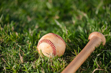 Baseball and Bat on Grass
