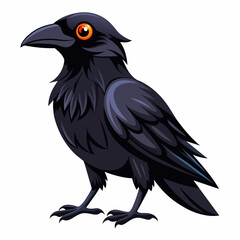 crow-on-white-background