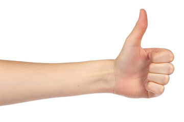 human hand with thumb up isolated on a transparent background