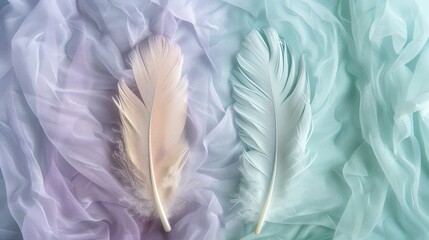 Fototapeta premium Feather Split in Pastel Lavender and Mint Green - Embracing Natural Textures.