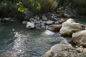 rock and stones in the river