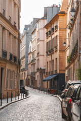General street view from Paris, the French capital