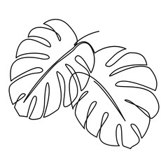 Monstera One Line
