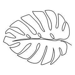 Monstera One Line