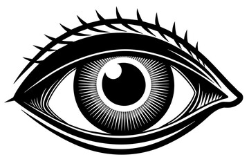 eye of the person vector-illustration