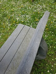 bench in the garden