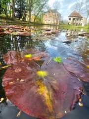 autumn in the city