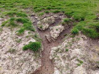 Channels in the soil were washed by rainwater that flowed from the grassy field in a thin stream.