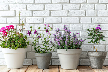 Different flowers in pots on white brick wall background - Powered by Adobe