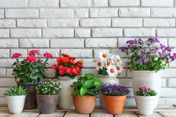 Fototapeta na wymiar Different flowers in pots on white brick wall background