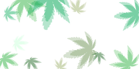 green fresh tea leaves isolated on white background