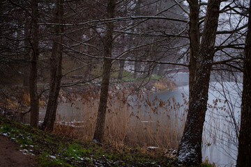 A gloomy and overcast winter day on the shore of Bernardine Lake. Trakai, Lithuania.