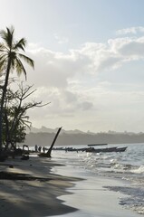 Naklejka premium a person walking along the beach near palm trees and boats