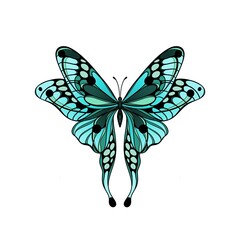 Green butterfly on isolated white background. Layout for printing illustrations on T-shirts, notepads, covers